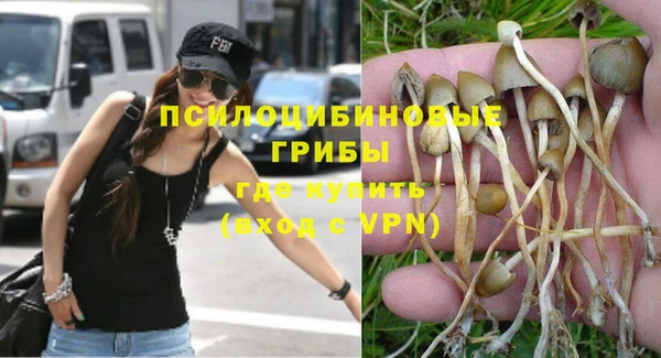 гидра Михайлов