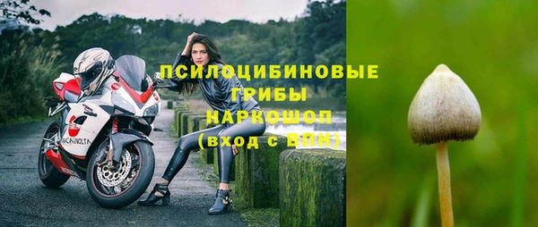наркотики Медвежьегорск