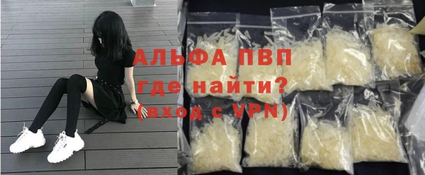 гашик Майский