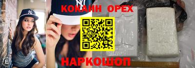 apvp Заводоуковск