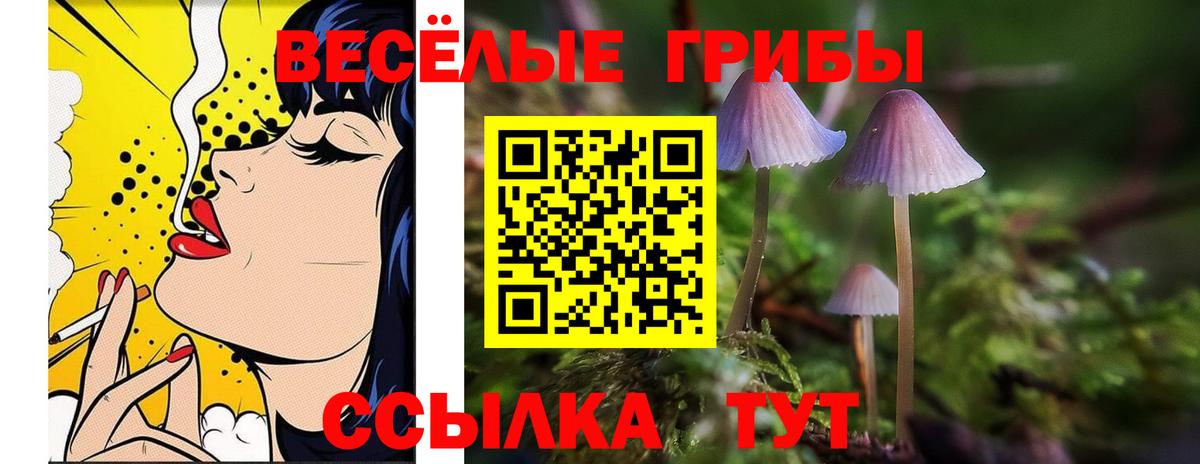 Псилоцибиновые грибы Cubensis  Красноперекопск 